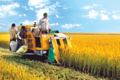 Khoa học đã giúp gì cho nông nghiệp?